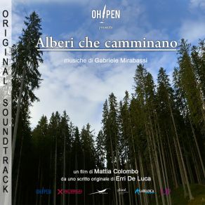 Download track Tenerezza E Alienazione Gabriele Mirabassi