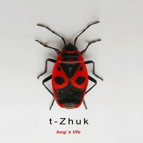 Download track Ðàäèîòî÷êà T-Zhuk