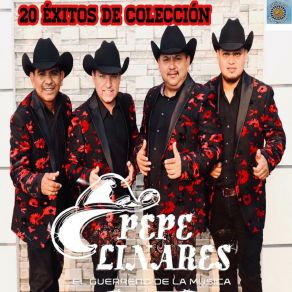 Download track Te He Borrado - En Vivo Pepe Linares