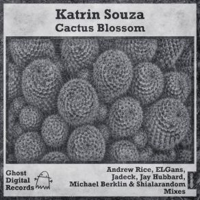 Download track Cactus Blossom (Jay Hubbard Remix) Katrin Souza