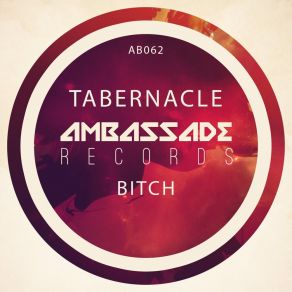 Download track Bitch (Radio Edit) Tabernacle