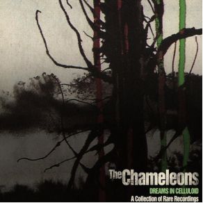 Download track Turn To Vices The Chameleons