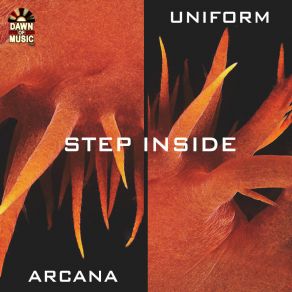 Download track Arkana Step Inside