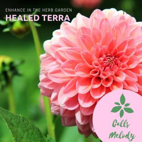 Download track Destressed Soul (Original Mix) Healed Terra