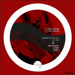 Download track Where Do You Go (Original Mix) Trei, LNRipley