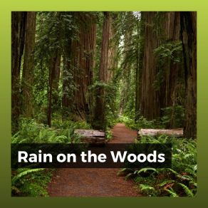 Download track Rain For Meditation, Pt. 9 Wildlife Sound Recordings