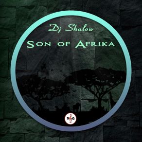 Download track Shine DJ Shalow