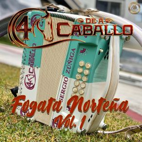 Download track Si Quieres Tu Volver 4 De A Caballo