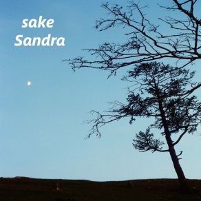 Download track Treasury Sandra