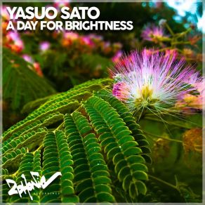 Download track Pure Magnetics Yasuo Sato