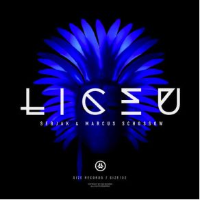 Download track Liceu (Original Mix) Sebjak, Marcus Schössow