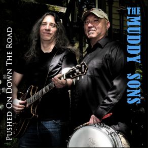 Download track Stainless Steel Toilet The Muddy Sons