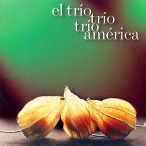 Download track Me Enamoré De Ti El Trío América