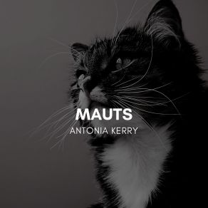 Download track Ostentatious Antonia Kerry