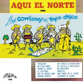 Download track Rancho Bonito Los Gorriones Del Topo Chico