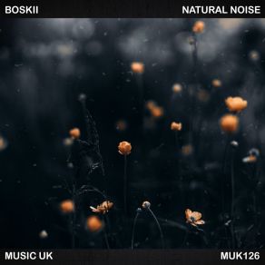 Download track Natural Noise (Abstract Silhouette Beatless Remix) BoskiiAbstract Silhouette