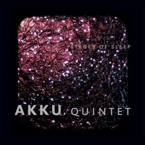 Download track Light Sleep 1 AKKU Quintet