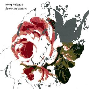 Download track I Didn't Know Morphologue, Myriam Stucki