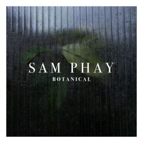 Download track Fool Sam Phay