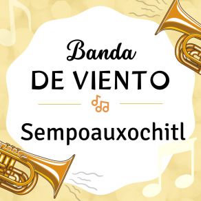 Download track La Danza De Los Mecos Banda De Viento Sempoauxochitl