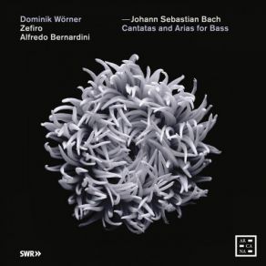 Download track Cantata Ich Habe Genung, BWV 82 V. Aria Ich Freue Mich Auf Meinen Tod Alfredo Bernardini, Zefiro, Dominik Worner