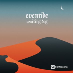 Download track Essaouira Waiting Dog