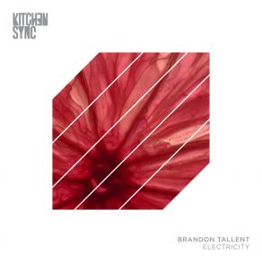 Download track Supercharged Circuit (Original Mix) Brandon Tallent