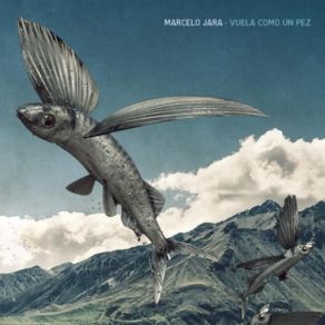 Download track VUELA COMO UN PEZ Marcelo Jara