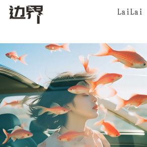 Download track 边界 (伴奏版) Lailai