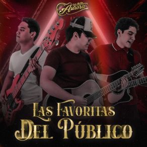 Download track El Collar De Guamúchil Los De La Aurora