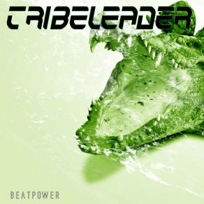 Download track Beatpower (Instrumental Tribe Master 2) Tribeleader