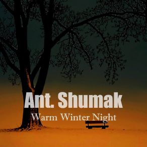 Download track Warm Winter Night Ant. Shumak