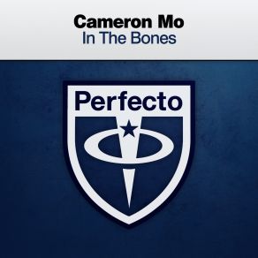 Download track In The Bones (Extended Mix) Cameron Mo