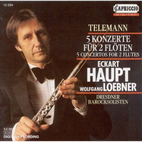 Download track 17. Concert G-Dur Für Zwei Flöten Fagott Streicher Und Basso Continuo TWV 53: G1 - 1. Andante Georg Philipp Telemann