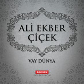 Download track Riyadan Elini Çek Divane Gönül Ali Ekber Çiçek