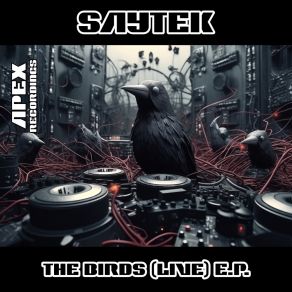 Download track The Birds (Live) Saytek