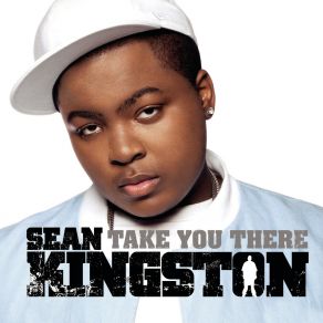 Download track Take You There (Instrumental) Sean Kingston