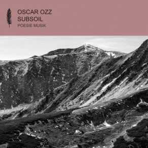 Download track Subsoil (Vincent Marlice Remix) Oscar OzzVincent Marlice