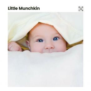 Download track Sleepy Little Boy Blue Baby Lullaby