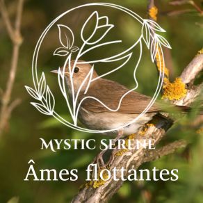 Download track Oiseau De Nuit Mystic Serene