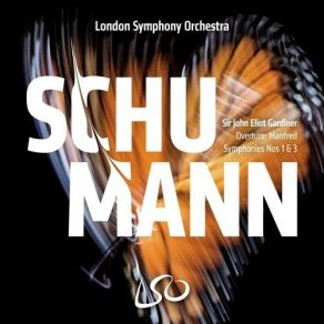 Download track 10. Symphony No 3 In E Flat Major - V. Lebhaft Robert Schumann