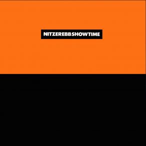 Download track Fun To Be Had (Sneeze Mix) Nitzer Ebb