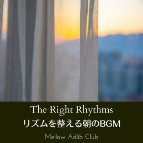 Download track The Right Rhythms Mellow Adlib Club