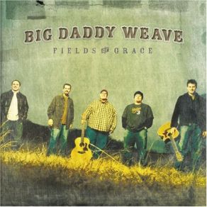 Download track Fields Of Grace Big Daddy Weave