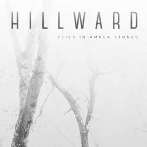 Download track The End Of Logic Hillward