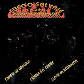 Download track El Niño Y La Cumbia Fuego Salvaje