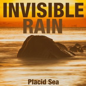 Download track Sirius B Invisible Rain