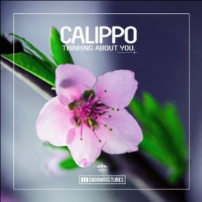 Download track Thinking About You Original Club Mix Calippo