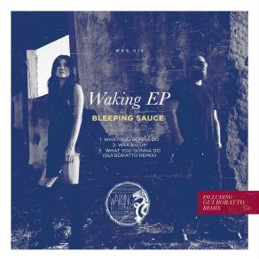 Download track What You Gonna Do (Gui Boratto Remix) Bleeping Sauce