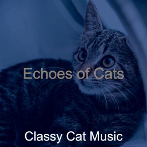 Download track Wonderful Ambience For Kittens Classy Cat Music